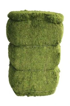 Evergreen Moss Bale - 5.5 Cubic Feet