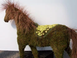 Horse Topiary 9 Horse Topiary -Outdoor Decor Art 0f9a6c20 7097 4e1c 9821 9e99cfb3f916 HORSE 01400.1676036640
