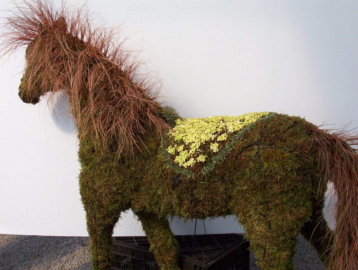 Horse Topiary 5 Horse Topiary - Image 5
