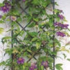 19" Wall Trellis (2 Pack)