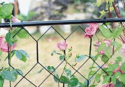 Lattice Infill Kit 6 Lattice Infill Kit -Outdoor Decor Art 1440 infill 16902.1680375591