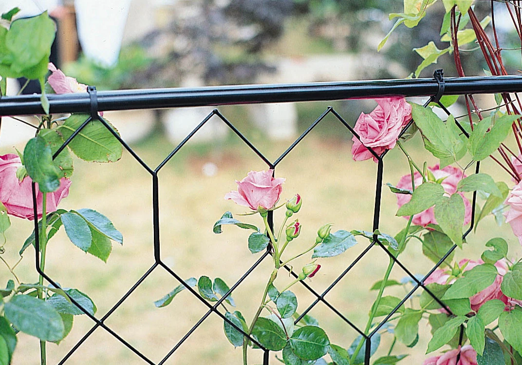 Lattice Infill Kit 3 Lattice Infill Kit - Image 3