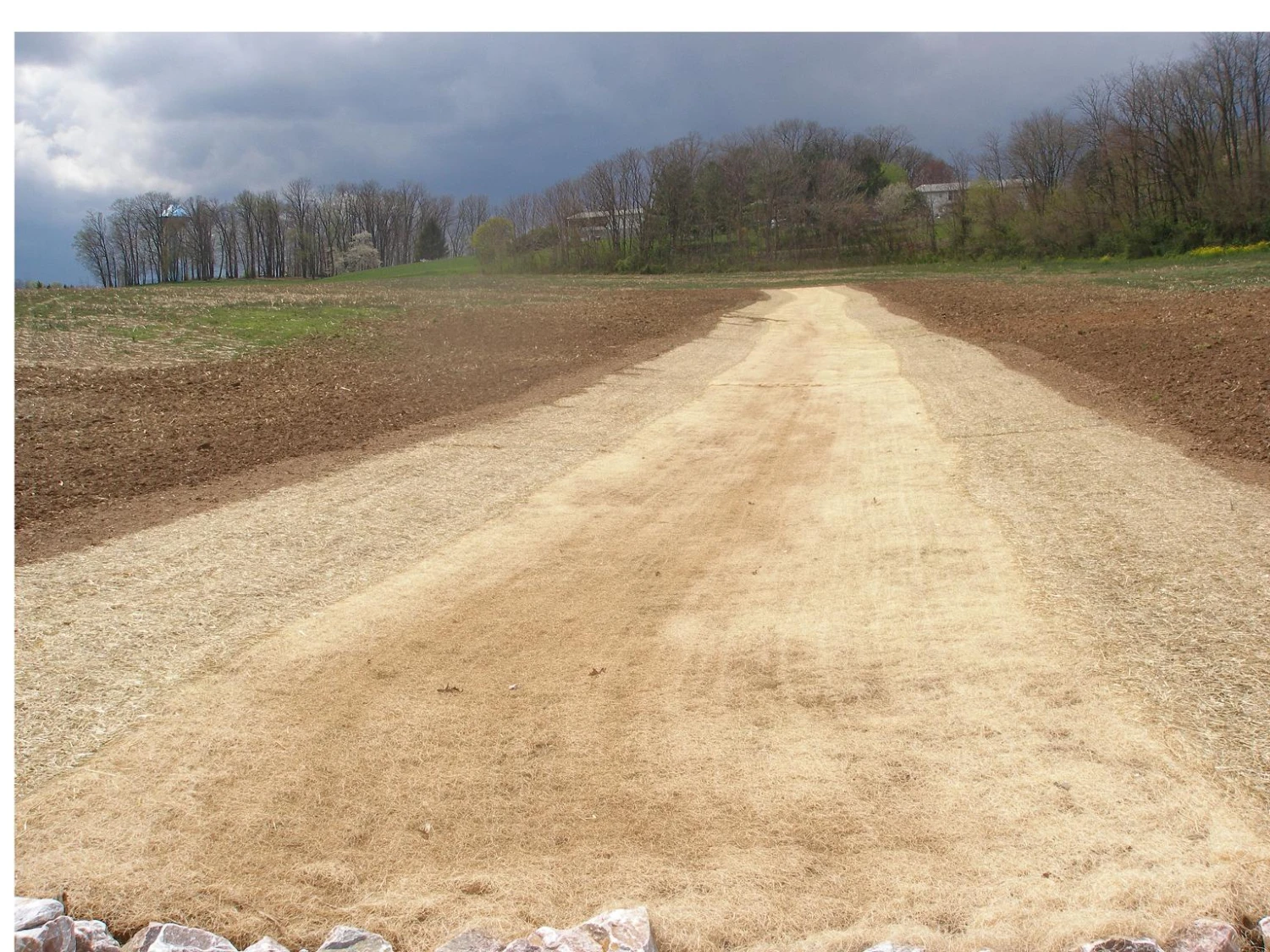 Curlex I 4 Curlex I - Image 4