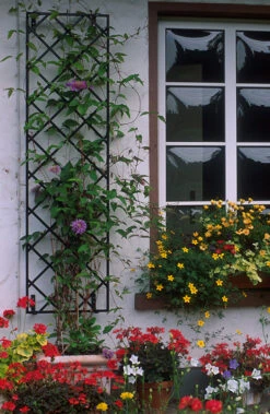 19" Wall Trellis (2 Pack) -Outdoor Decor Art 19 Wall 37063.1678752167