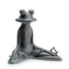 Contented Yoga Frog