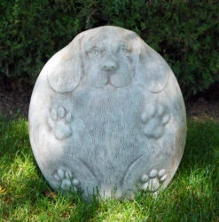 Buddy The Dog - Trivia Greystone