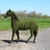 Horse Topiary