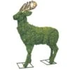 Deer Topiary