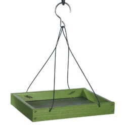 Going Green Platform Feeder