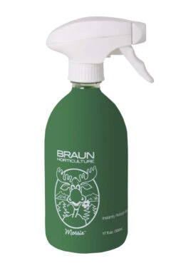 Outdoor Decor Art -Outdoor Decor Art 325bb2a9 2d73 4050 9e24 42545a990375 MOSS GREEN 20446.1676036645