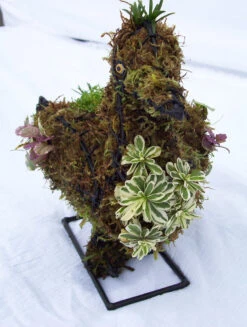 Duck Topiary -Outdoor Decor Art 3313a1ad 955c 4001 8525 c3f59d662ad7 DUCK 52768.1676036640