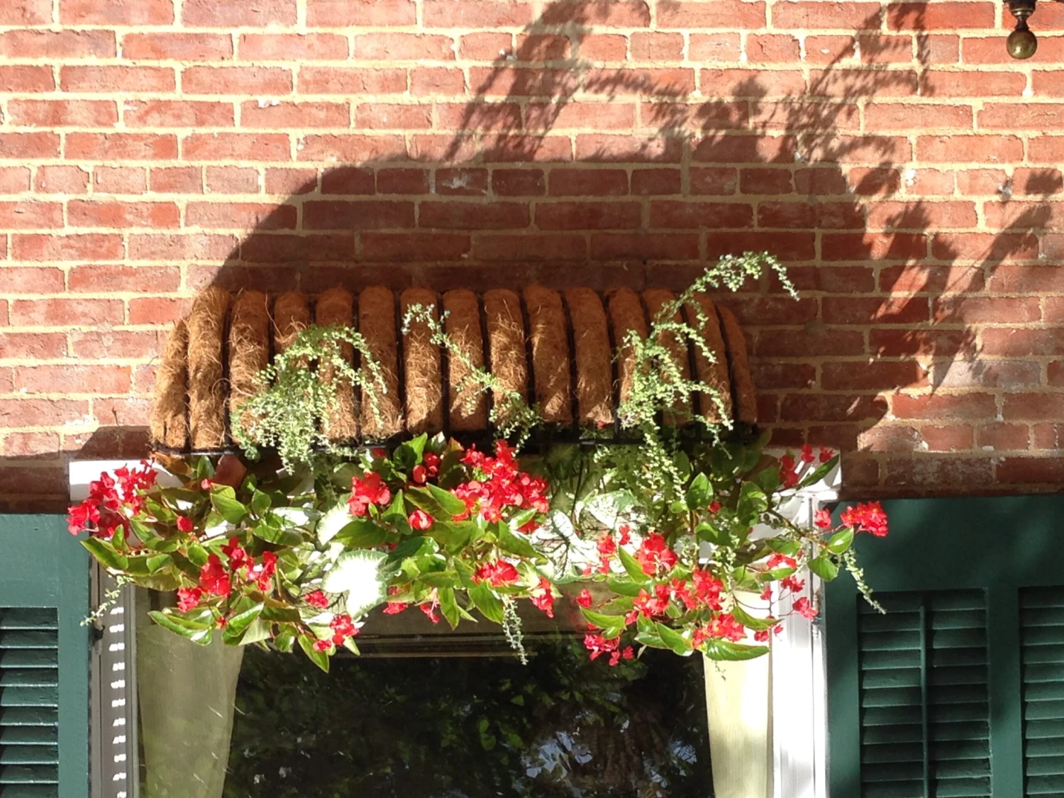 44 In Window Hayrack With Molded Coco Liner 3 44 In Window Hayrack With Molded Coco Liner - Image 3