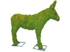 Donkey Topiary