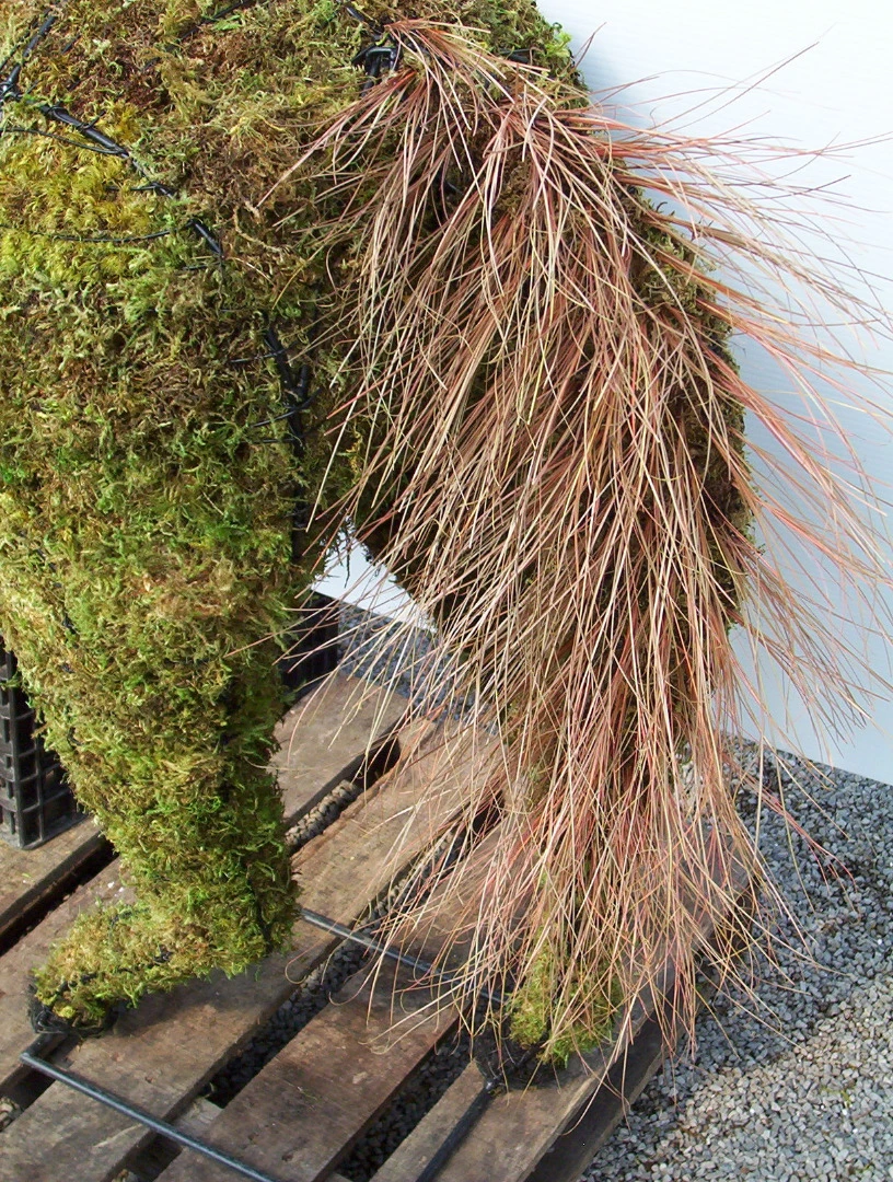 Horse Topiary 3 Horse Topiary - Image 3