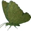 Butterfly Topiary