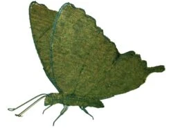 Butterfly Topiary