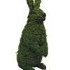 Standing Rabbit Topiary
