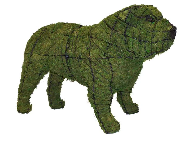 Bulldog Topiary 3 Bulldog Topiary - Image 3