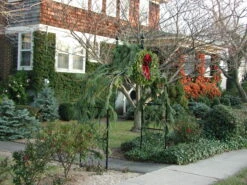 Gothic Garden Arch 12 Gothic Garden Arch -Outdoor Decor Art 6 GothicLS 54193.1704032154