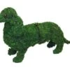 Dachshund Topiary