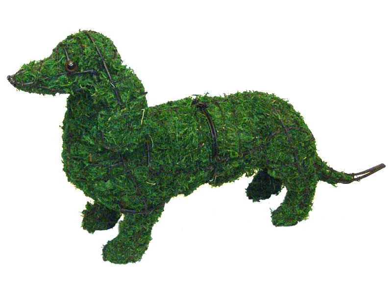 Dachshund Topiary 1 Dachshund Topiary
