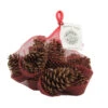 Scented Wax Bottom Buddies - Scented Pine Cone Fire Starters