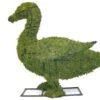 Duck Topiary
