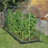 Long Domed Roof Fruit Cage - 10' L X 3' W X 5' H