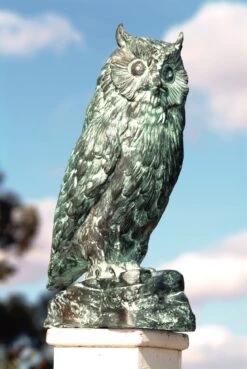 Owl Bronze Statue With Verdigris Finish