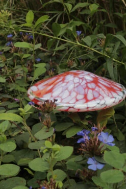 Blown Glass Mushroom Stake 29 Blown Glass Mushroom Stake -Outdoor Decor Art AHMS RW4 1600 47485.1678810450