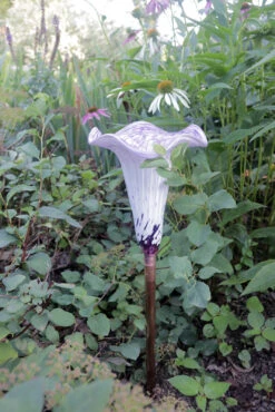 Blown Glass Water Tulip 12 Blown Glass Water Tulip -Outdoor Decor Art AHWT WP3 1600 75088.1676036668