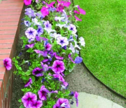 EverEdge Landscape Edging - Brown - 1.6mm 12 EverEdge Landscape Edging - Brown - 1.6mm -Outdoor Decor Art Allman003CMY 73998.1705093731