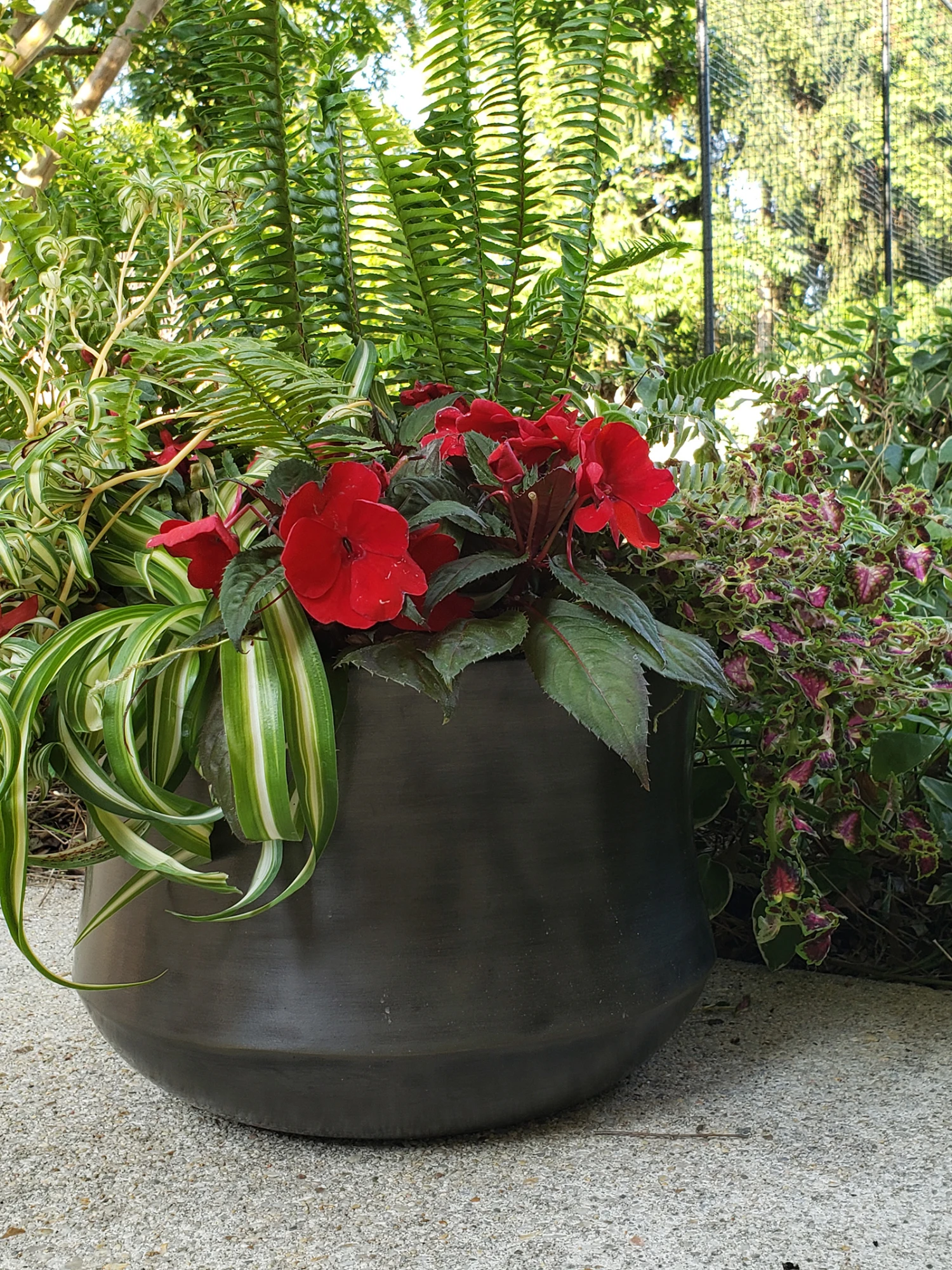 Ankara Planter 7 Ankara Planter - Image 7