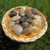 Basket Of Garden Thoughts - 120 Word Stone For The Gardener