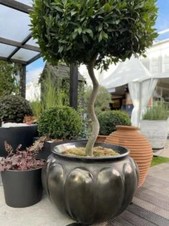 Botticelli - Antique Bronze Finish -Outdoor Decor Art Boticelli at chelsea 53527.1715798105