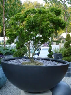 Bowl Planter 5 Bowl Planter -Outdoor Decor Art Bowl 40094.1676124940