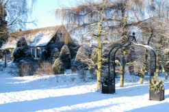 Brighton Arch + Planter | Bench | Gate | Fence Options 8 Brighton Arch + Planter | Bench | Gate | Fence Options -Outdoor Decor Art Brighton planters3 44419.1686691219