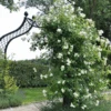 Brighton Garden Arch