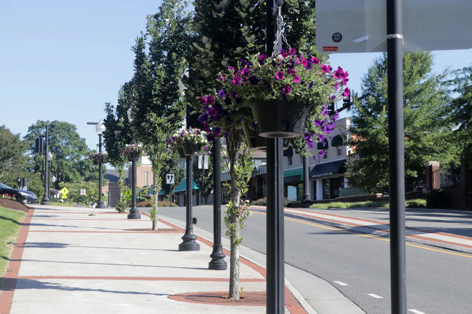 18.5" Self-Watering Hanging Basket 6 18.5" Self-Watering Hanging Basket - Image 6