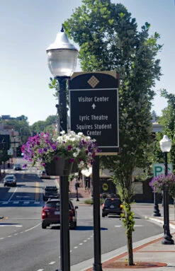 18.5" Self-Watering Hanging Basket 17 18.5" Self-Watering Hanging Basket -Outdoor Decor Art CHB 1P VT14 1600 31073.1677959425