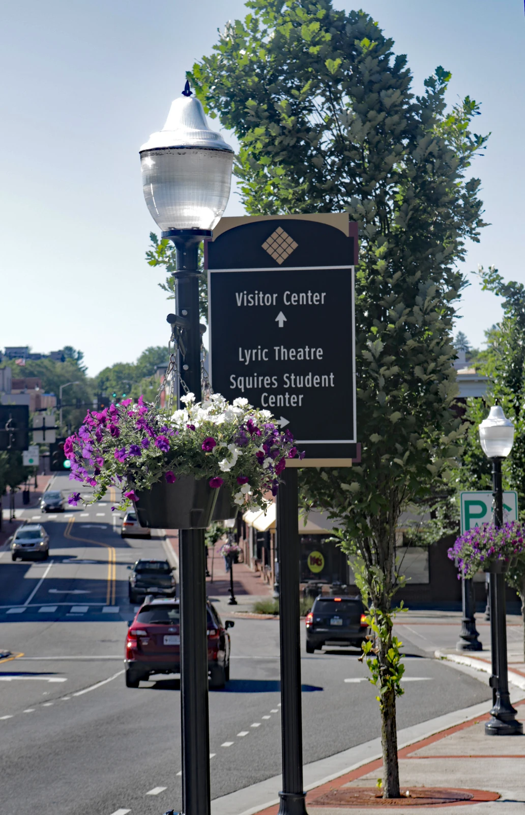 18.5" Self-Watering Hanging Basket 7 18.5" Self-Watering Hanging Basket - Image 7