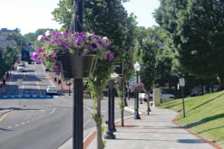 18.5" Self-Watering Hanging Basket 18 18.5" Self-Watering Hanging Basket -Outdoor Decor Art CHB 1P VT15 1600 50886.1677959426