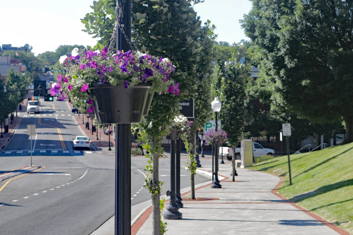 18.5" Self-Watering Hanging Basket 8 18.5" Self-Watering Hanging Basket - Image 8