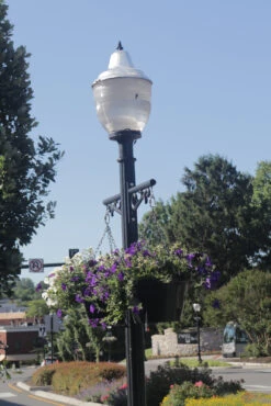 18.5" Self-Watering Hanging Basket 14 18.5" Self-Watering Hanging Basket -Outdoor Decor Art CHB 1P VT3 1600 80819.1677959425