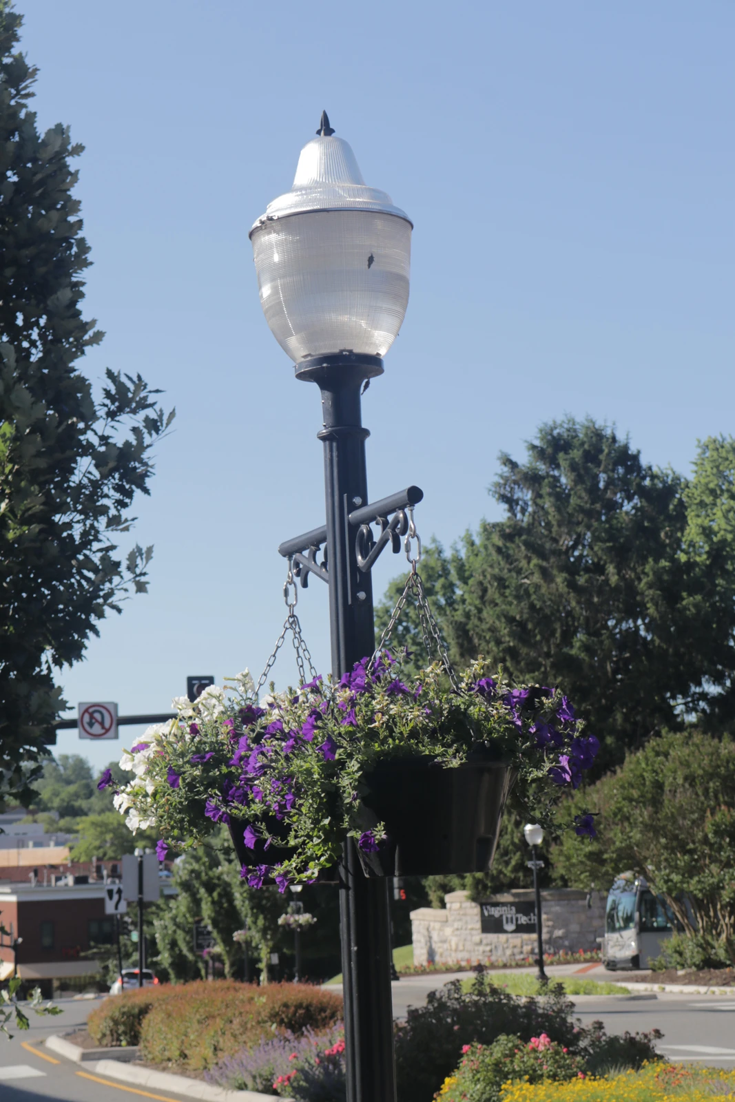 18.5" Self-Watering Hanging Basket 4 18.5" Self-Watering Hanging Basket - Image 4