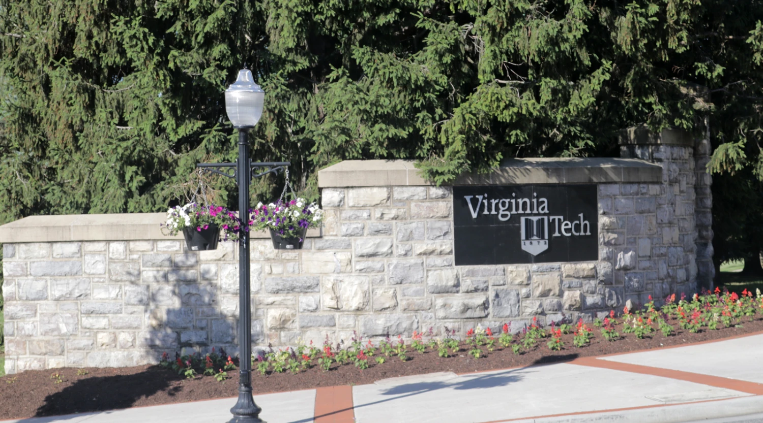 18.5" Self-Watering Hanging Basket 5 18.5" Self-Watering Hanging Basket - Image 5