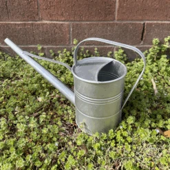 Long Reach Watering Can - 1.6 Qt Capacity