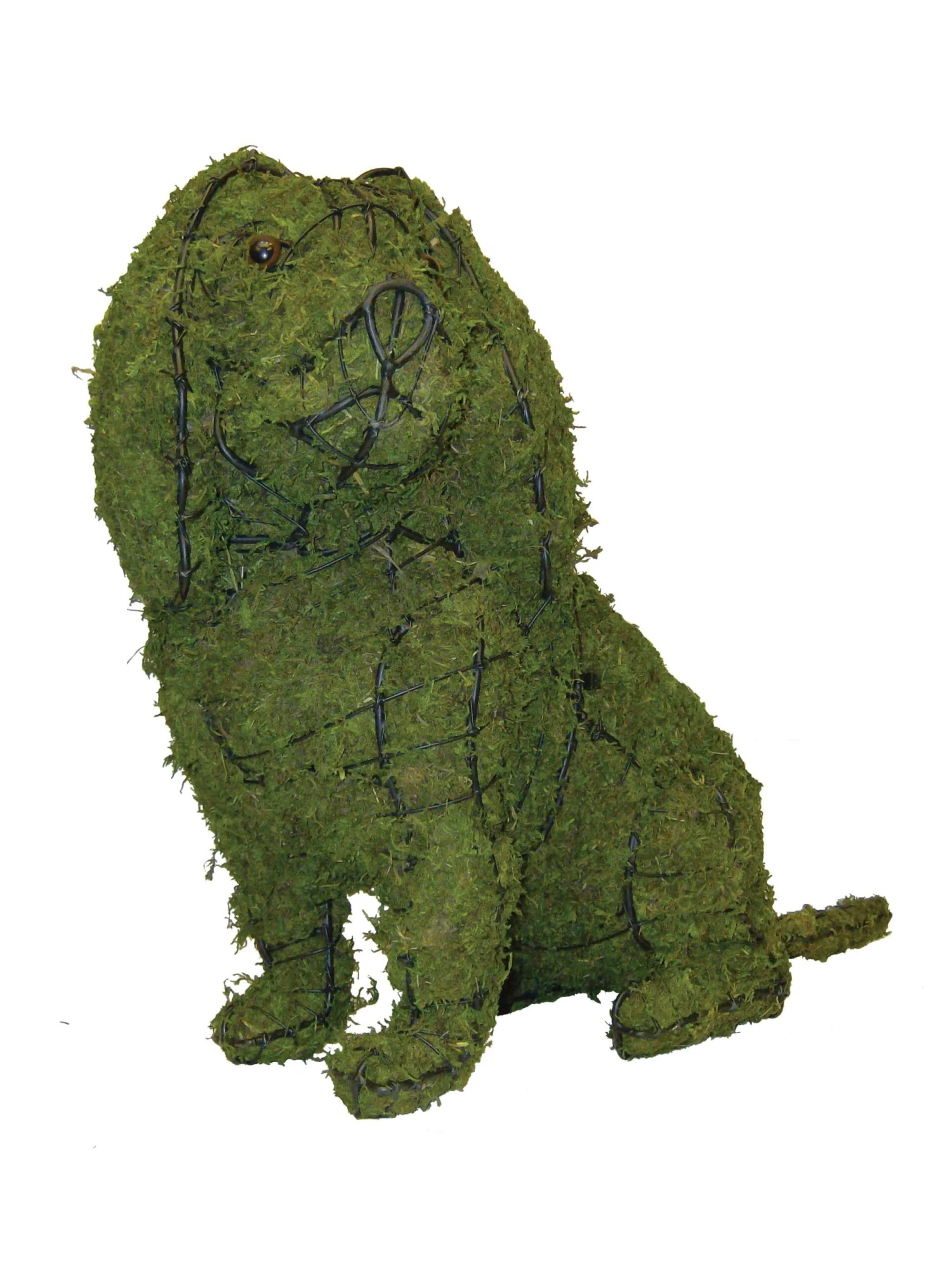 Cavalier Sitting Dog Topiary 3 Cavalier Sitting Dog Topiary - Image 3