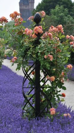Charleston Rose Pillar 15 Charleston Rose Pillar -Outdoor Decor Art Charleston castle 72399.1709321484