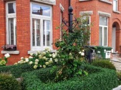 Charleston Rose Pillar 12 Charleston Rose Pillar -Outdoor Decor Art Charleston8 59221.1709321484